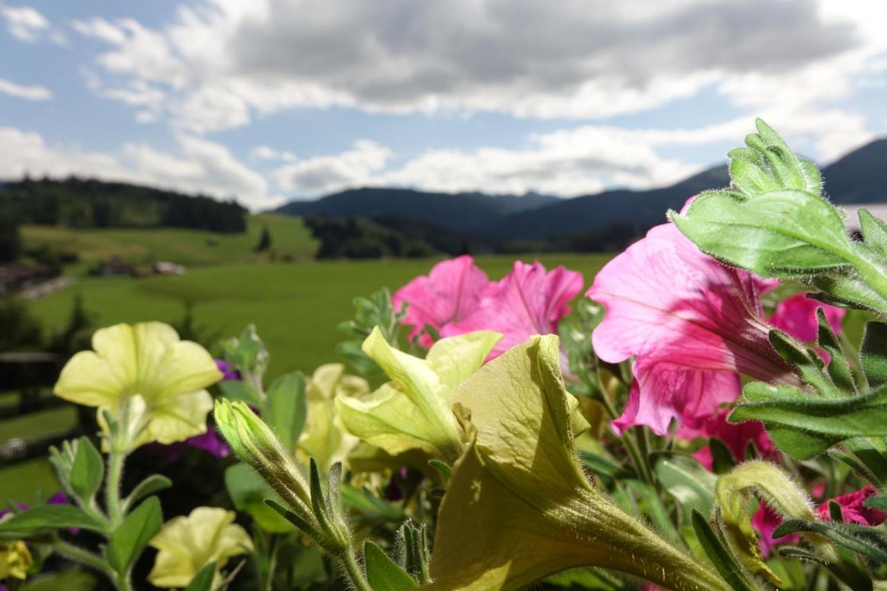 Atelierhaus Ferienwohnungen Fischen im Allgaeu Exterior foto